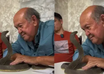 Viral Video: Grandfather's condition worsened due to sudden attack of cobra, he ran away screaming - watch the scary clip