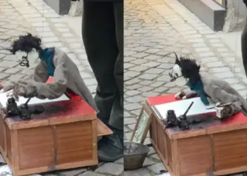 Viral Video: Value for money content! If you see it once, you will feel like watching it again and again.