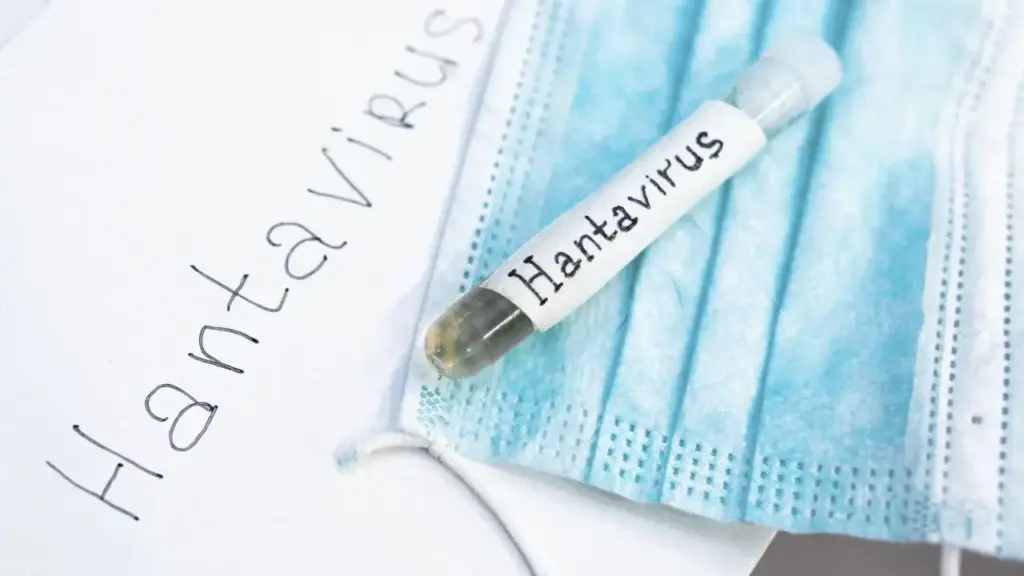 WHO expressed concern about Hantavirus, study is ongoing on the duration of virus in human body.