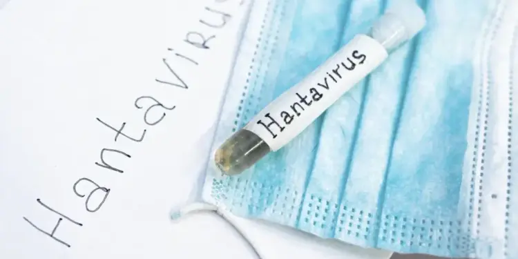 WHO expressed concern about Hantavirus, study is ongoing on the duration of virus in human body.