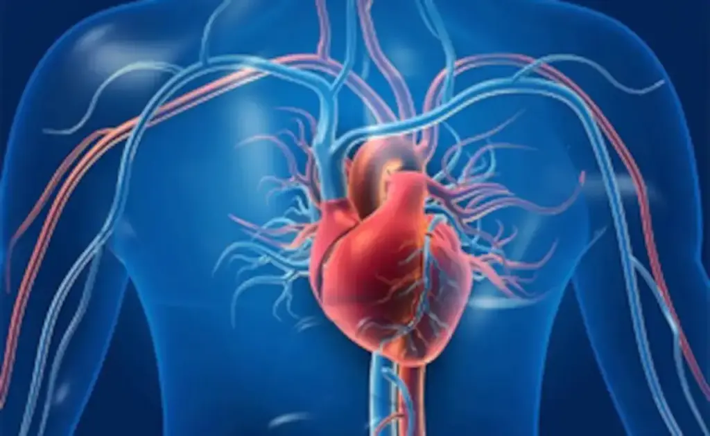 Warning for heart health, these 5 bad habits can become the cause of heart attack, change your lifestyle now