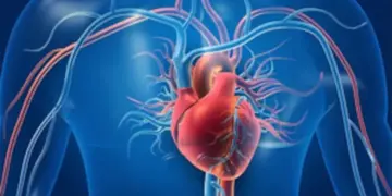 Warning for heart health, these 5 bad habits can become the cause of heart attack, change your lifestyle now