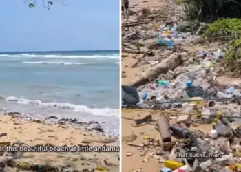 'We are destroying our own world...' People's anger erupted after seeing the pile of filth on the beach of Andaman