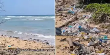 'We are destroying our own world...' People's anger erupted after seeing the pile of filth on the beach of Andaman