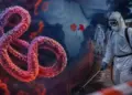 What are the symptoms of Ebola virus? Know the early signs and important preventive measures suggested by experts
