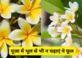 Which fruits and flowers should not be offered to Gods and Goddesses during worship in Sanatan Dharma? Know the classical rules