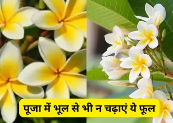 Which fruits and flowers should not be offered to Gods and Goddesses during worship in Sanatan Dharma? Know the classical rules