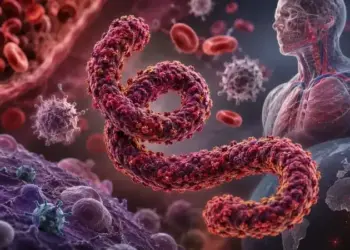Why is the world afraid of Ebola virus? Know the complete information about the symptoms, prevention and treatment of this dangerous disease.
