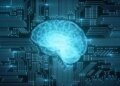 Will the data centers of the future be run by human neurons? Know the new world of biological computing