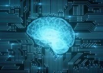 Will the data centers of the future be run by human neurons? Know the new world of biological computing