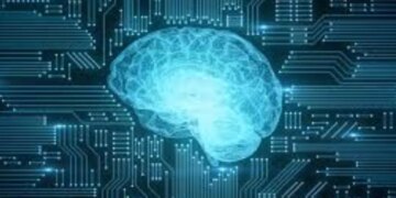 Will the data centers of the future be run by human neurons? Know the new world of biological computing