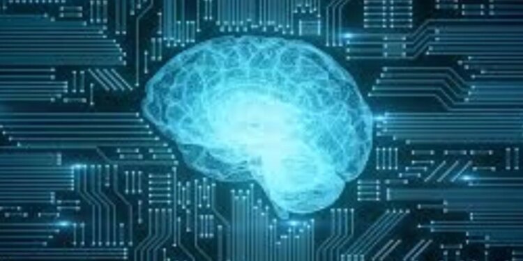 Will the data centers of the future be run by human neurons? Know the new world of biological computing
