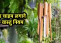 Wind Chimes and Vastu: How to increase positive energy of home with right direction and rules