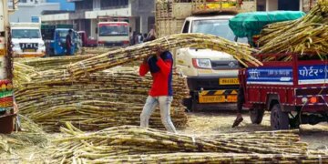Withdrawal of the draft order on sugarcane control by the Center is a welcome step: Union Minister Jayant Singh