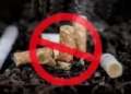 You start getting benefits as soon as you quit tobacco, the effect is visible in just 20 minutes.