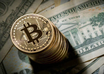 ≡ The 8 Richest Cryptocurrency Owners in the World ➤ Brain Berries