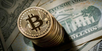 ≡ The 8 Richest Cryptocurrency Owners in the World ➤ Brain Berries