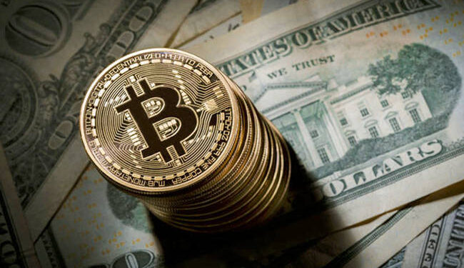 ≡ The 8 Richest Cryptocurrency Owners in the World ➤ Brain Berries