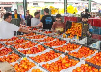 80 percent chance of El Nino occurring during June-August, danger of inflation looming: Report
