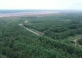 Adani Group converted Chhattisgarh's Surguja mine into a green area, planted more than 16 lakh trees and plants.