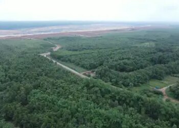Adani Group converted Chhattisgarh's Surguja mine into a green area, planted more than 16 lakh trees and plants.