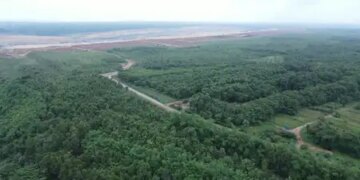 Adani Group converted Chhattisgarh's Surguja mine into a green area, planted more than 16 lakh trees and plants.