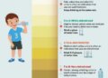 Are you drinking enough water in the scorching heat? Know hydration level from urine color chart