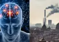 Attention Polluted air can reduce your ability to remember, shocking revelation revealed in research