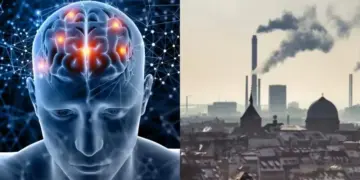 Attention Polluted air can reduce your ability to remember, shocking revelation revealed in research