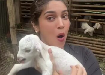 Bhumi Pednekar became a 'farm girl' for two weeks, found happiness among little goats, home-cooked food and nature.