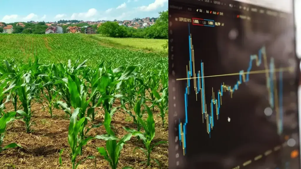 Can village farmers also invest in the stock market? Know the easy method and complete guide to get started