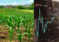 Can village farmers also invest in the stock market? Know the easy method and complete guide to get started