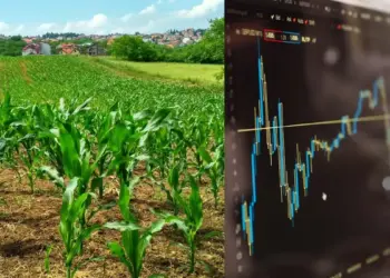 Can village farmers also invest in the stock market? Know the easy method and complete guide to get started