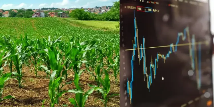 Can village farmers also invest in the stock market? Know the easy method and complete guide to get started