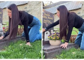 Celina Jaitly longed to meet her children, shared a post crying on her son's grave