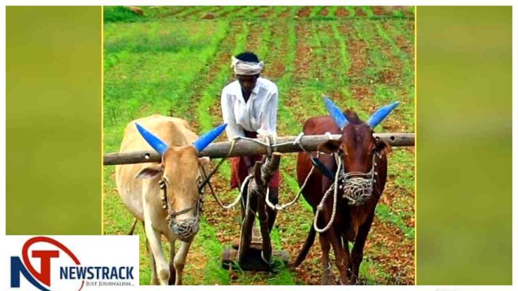 Chhattisgarh News: Development Projects, Health Campaign & Weather Update 2026 | Chhattisgarh News New flight of development, relief to farmers and big news for the youth. News Track in Hindi