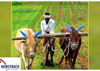 Chhattisgarh News: Development Projects, Health Campaign & Weather Update 2026 | Chhattisgarh News New flight of development, relief to farmers and big news for the youth. News Track in Hindi