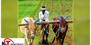 Chhattisgarh News: Development Projects, Health Campaign & Weather Update 2026 | Chhattisgarh News New flight of development, relief to farmers and big news for the youth. News Track in Hindi