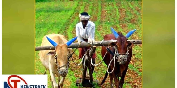 Chhattisgarh News: Development Projects, Health Campaign & Weather Update 2026 | Chhattisgarh News New flight of development, relief to farmers and big news for the youth. News Track in Hindi