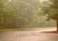 Chhattisgarh Weather| Monsoon Update Chhattisgarh| india weather update| Chhattisgarh news | Chhattisgarh Weather: Monsoon arrives in Chhattisgarh, warning of heavy rain for next 4-5 days. News Track in Hindi