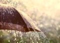 Chhattisgarh Weather| monsoon in Chhattisgarh weather update chhattisgarh| Chhattisgarh News | Chhattisgarh Weather: Humidity continues to wreak havoc in Chhattisgarh, monsoon is still far away, alert of strong winds and rain for the next 5 days. News Track in Hindi