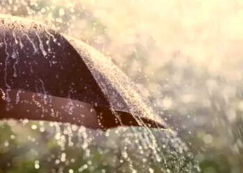 Chhattisgarh Weather| monsoon in Chhattisgarh weather update chhattisgarh| Chhattisgarh News | Chhattisgarh Weather: Humidity continues to wreak havoc in Chhattisgarh, monsoon is still far away, alert of strong winds and rain for the next 5 days. News Track in Hindi
