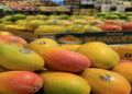 Demand for saffron, alphonso and langra increased; Craze for Indian mangoes increases in American market