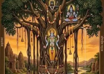 Do not cut these 7 sacred trees even by mistake, it is a great sin mentioned in the scriptures; Know what recognition is