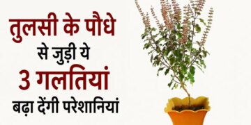 Do not make these 3 mistakes while keeping Tulsi, otherwise Vastu defects and problems may increase.