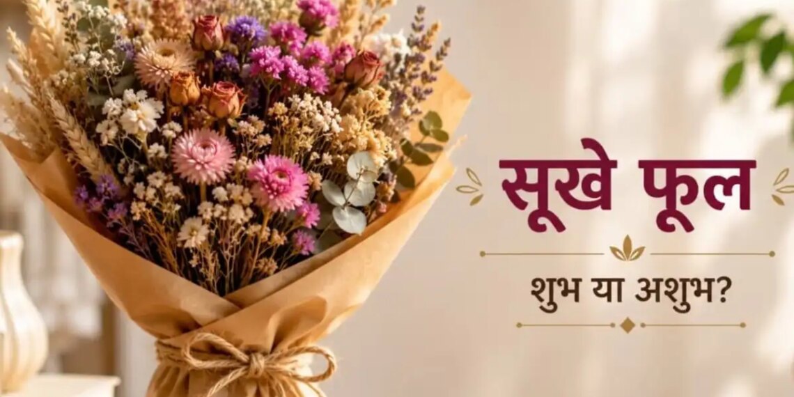 Dried Flower Fengshui Tips: Should dried flowers be kept in the house or not? Know the beliefs and correct uses of Feng Shui