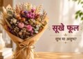 Dried Flower Fengshui Tips: Should dried flowers be kept in the house or not? Know the beliefs and correct uses of Feng Shui