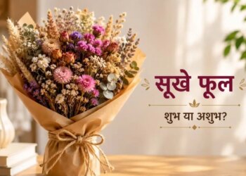 Dried Flower Fengshui Tips: Should dried flowers be kept in the house or not? Know the beliefs and correct uses of Feng Shui