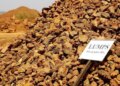 ED seizes assets worth over Rs 1,000 crore in 'illegal' iron ore mining case in Goa