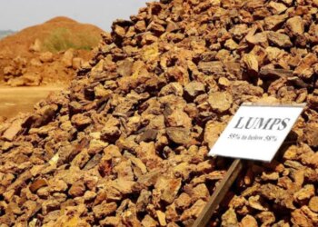 ED seizes assets worth over Rs 1,000 crore in 'illegal' iron ore mining case in Goa